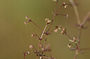 BUITEN BEELD Foto: 439380