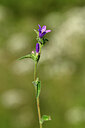 BUITEN BEELD Foto: 439383