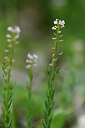 BUITEN BEELD Foto: 439386