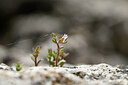 BUITEN BEELD Foto: 439389