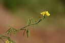 BUITEN BEELD Foto: 439391