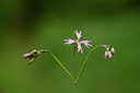 BUITEN BEELD Foto: 439393