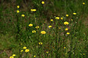 BUITEN BEELD Foto: 439395