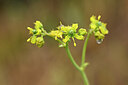BUITEN BEELD Foto: 439402
