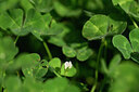 BUITEN BEELD Foto: 439403