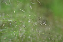 BUITEN BEELD Foto: 439404