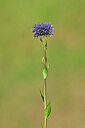 BUITEN BEELD Foto: 439405