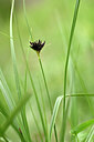 BUITEN BEELD Foto: 439408