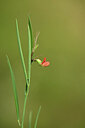 BUITEN BEELD Foto: 439413