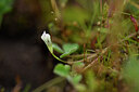 BUITEN BEELD Foto: 439414