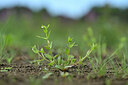 BUITEN BEELD Foto: 439432