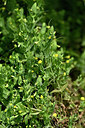 BUITEN BEELD Foto: 439434