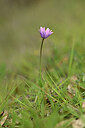 BUITEN BEELD Foto: 439436