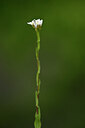 BUITEN BEELD Foto: 439437