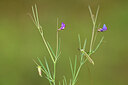 BUITEN BEELD Foto: 439438
