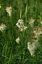BUITEN BEELD Foto: 439440