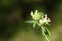 BUITEN BEELD Foto: 439449