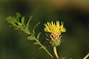BUITEN BEELD Foto: 439457