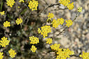 BUITEN BEELD Foto: 439459
