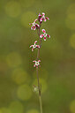 BUITEN BEELD Foto: 439460