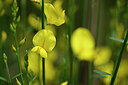 BUITEN BEELD Foto: 439461