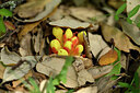 BUITEN BEELD Foto: 439464