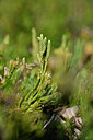 BUITEN BEELD Foto: 439467