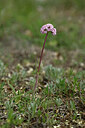 BUITEN BEELD Foto: 439469