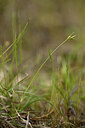 BUITEN BEELD Foto: 439470