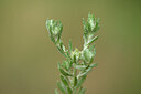BUITEN BEELD Foto: 439472