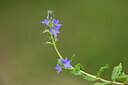 BUITEN BEELD Foto: 439475