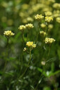 BUITEN BEELD Foto: 439477