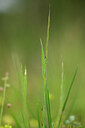 BUITEN BEELD Foto: 439478
