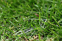 BUITEN BEELD Foto: 439482
