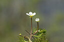 BUITEN BEELD Foto: 439491