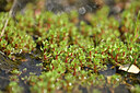BUITEN BEELD Foto: 439493