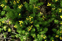 BUITEN BEELD Foto: 439501