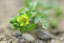 BUITEN BEELD Foto: 439504