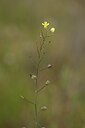 BUITEN BEELD Foto: 439505