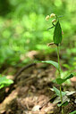 BUITEN BEELD Foto: 439506