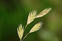 BUITEN BEELD Foto: 439519