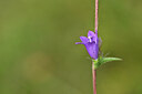 BUITEN BEELD Foto: 439530