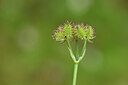 BUITEN BEELD Foto: 439536