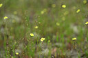 BUITEN BEELD Foto: 439546