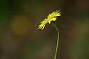 BUITEN BEELD Foto: 439549