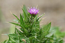 BUITEN BEELD Foto: 439550