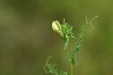 BUITEN BEELD Foto: 439551