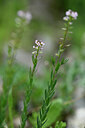 BUITEN BEELD Foto: 439555