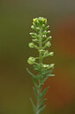 BUITEN BEELD Foto: 439556