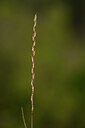BUITEN BEELD Foto: 439559